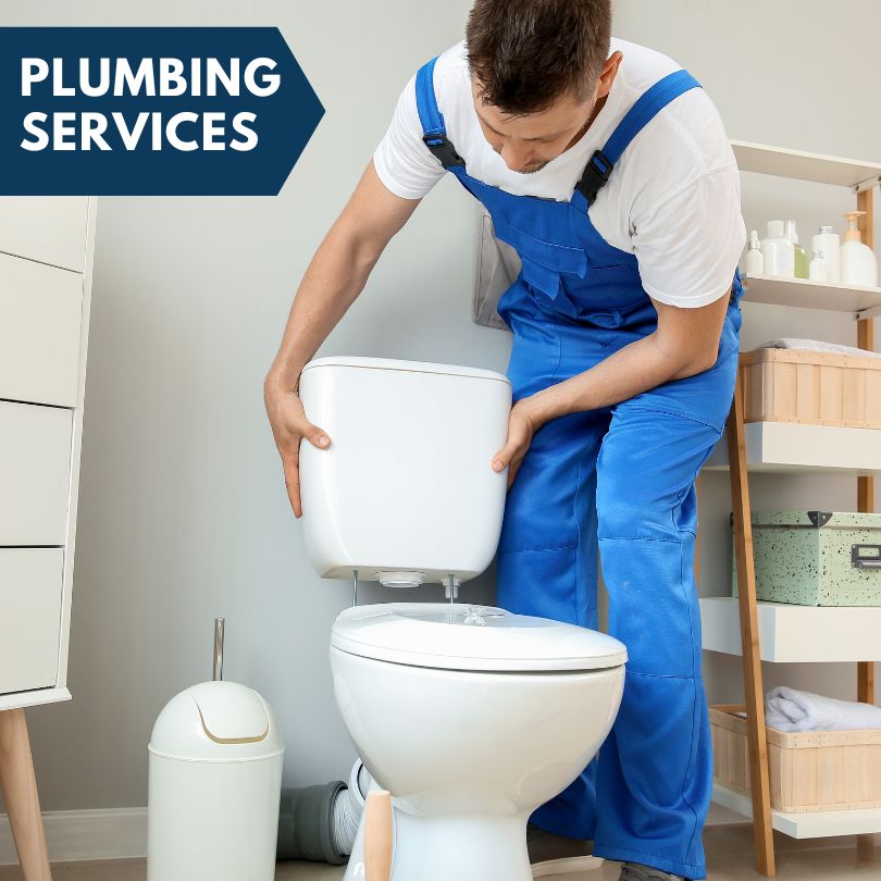 Plumbing Company in Davis Junction, IL
